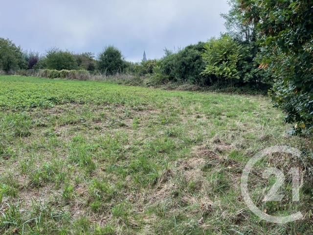 terrain à vendre - 1567.0 m2 - BLAJAN - 31 - MIDI-PYRENEES - Century 21 Pyrénées Immo