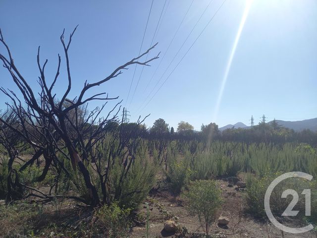 terrain à vendre - 3720.0 m2 - ARGELES SUR MER - 66 - LANGUEDOC-ROUSSILLON - Century 21 Pyrénées Immo