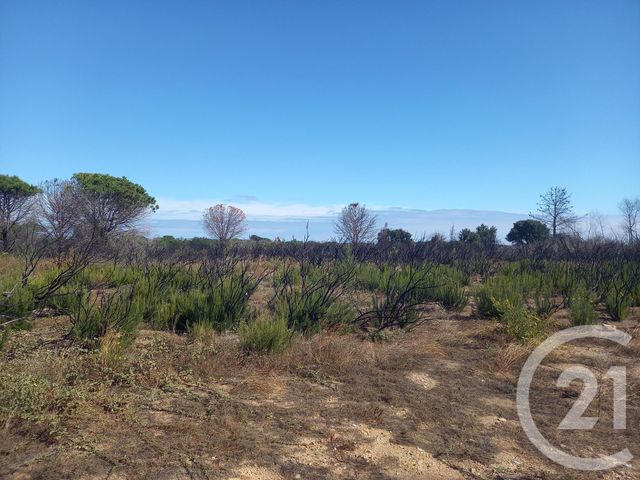 terrain à vendre - 3720.0 m2 - ARGELES SUR MER - 66 - LANGUEDOC-ROUSSILLON - Century 21 Pyrénées Immo