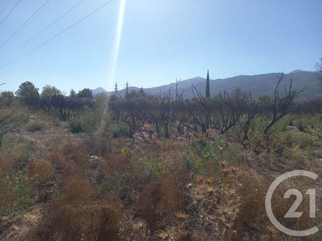 terrain à vendre - 3720.0 m2 - ARGELES SUR MER - 66 - LANGUEDOC-ROUSSILLON - Century 21 Pyrénées Immo