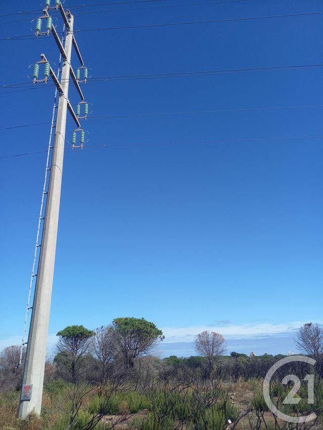 terrain à vendre - 3720.0 m2 - ARGELES SUR MER - 66 - LANGUEDOC-ROUSSILLON - Century 21 Pyrénées Immo