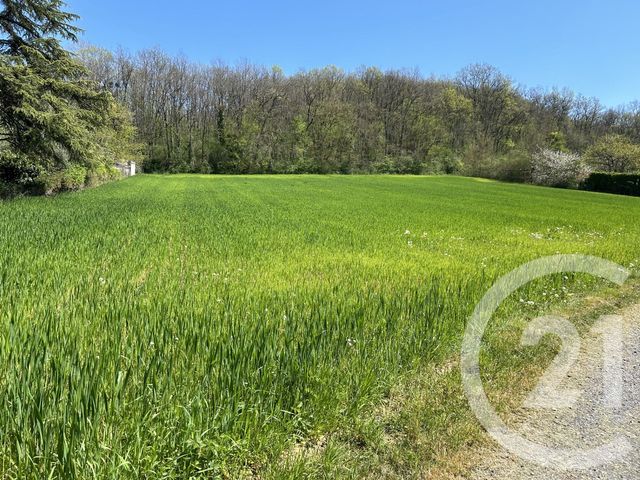 terrain à vendre - 5820.0 m2 - MONTSAUNES - 31 - MIDI-PYRENEES - Century 21 Pyrénées Immo