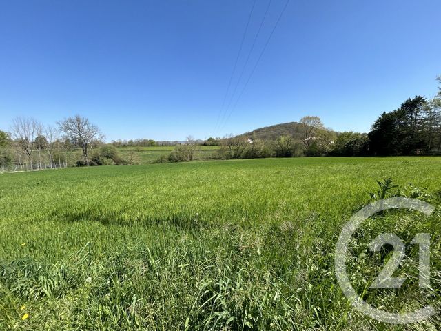terrain à vendre - 10815.0 m2 - MONTSAUNES - 31 - MIDI-PYRENEES - Century 21 Pyrénées Immo