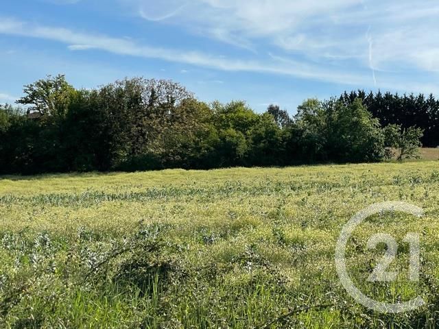 terrain à vendre - 5405.0 m2 - SEPX - 31 - MIDI-PYRENEES - Century 21 Pyrénées Immo terrain à vendre - 5405.0 m2 - SEPX - 31 - MIDI-PYRENEES - Century 21 Pyrénées Immo