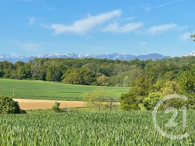 terrain à vendre - 5405.0 m2 - SEPX - 31 - MIDI-PYRENEES - Century 21 Pyrénées Immo terrain à vendre - 5405.0 m2 - SEPX - 31 - MIDI-PYRENEES - Century 21 Pyrénées Immo