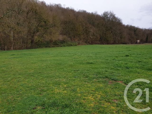Afficher la photo en grand terrain à vendre - 3530.0 m2 - MANE - 31 - MIDI-PYRENEES - Century 21 Pyrénées Immo