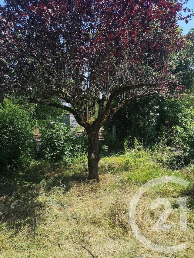 Afficher la photo en grand maison à vendre - 6 pièces - 207.45 m2 - ROQUEFORT SUR GARONNE - 31 - MIDI-PYRENEES - Century 21 Pyrénées Immo