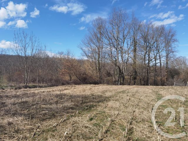 terrain à vendre - 1643.0 m2 - MANE - 31 - MIDI-PYRENEES - Century 21 Pyrénées Immo