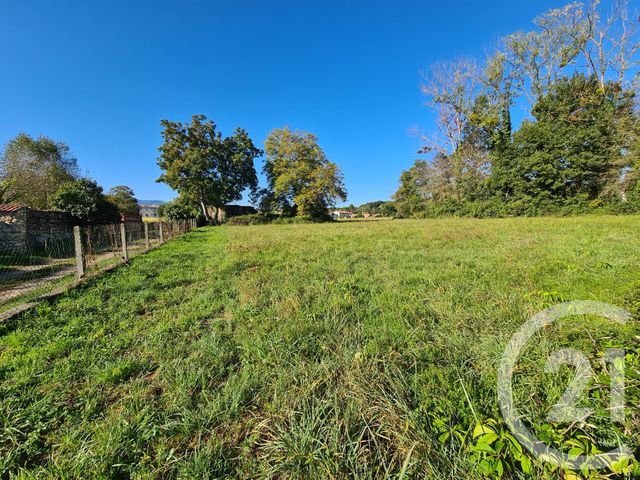 terrain à vendre - 2046.0 m2 - MANE - 31 - MIDI-PYRENEES - Century 21 Pyrénées Immo