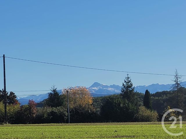 terrain à vendre - 8554.0 m2 - BOUZIN - 31 - MIDI-PYRENEES - Century 21 Pyrénées Immo