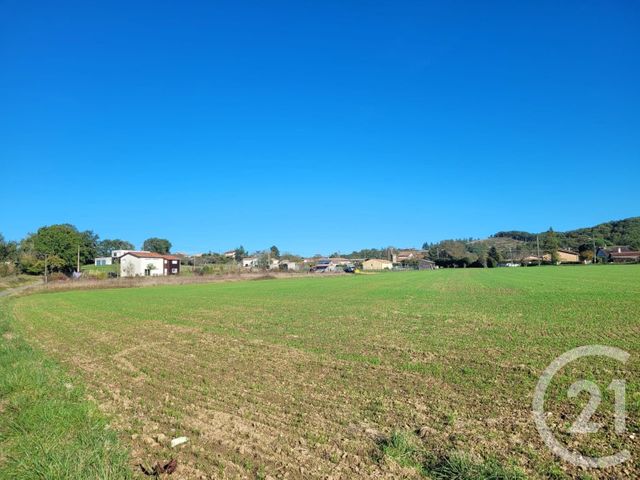 terrain à vendre - 8554.0 m2 - BOUZIN - 31 - MIDI-PYRENEES - Century 21 Pyrénées Immo