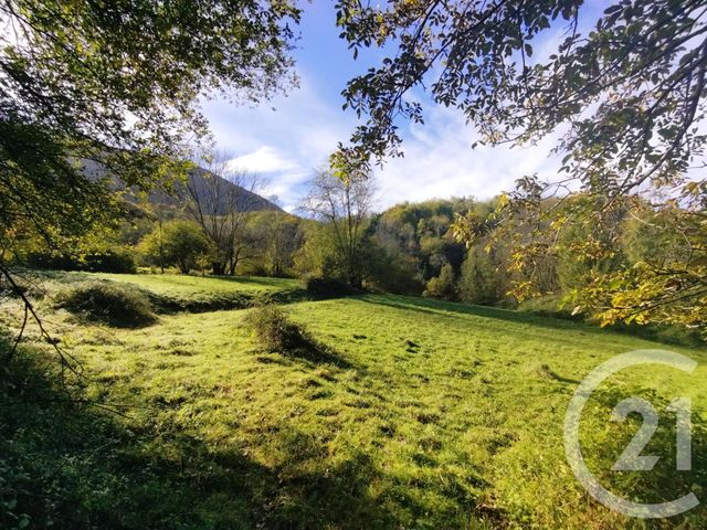 terrain à vendre - 10490.0 m2 - FOUGARON - 31 - MIDI-PYRENEES - Century 21 Pyrénées Immo