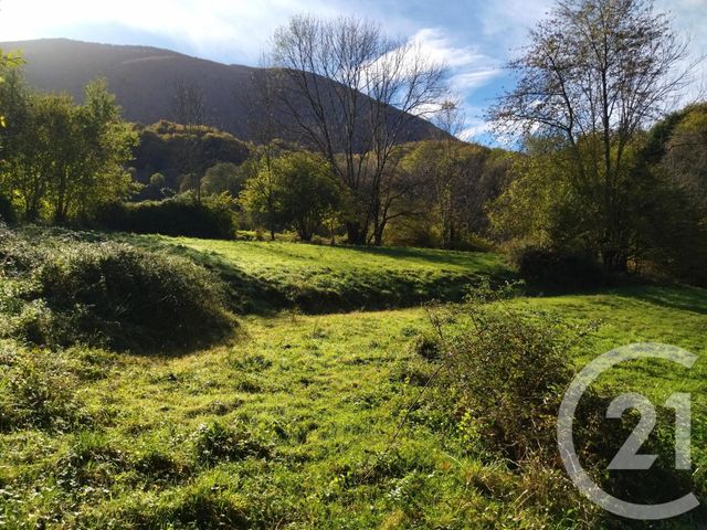 terrain à vendre - 10490.0 m2 - FOUGARON - 31 - MIDI-PYRENEES - Century 21 Pyrénées Immo