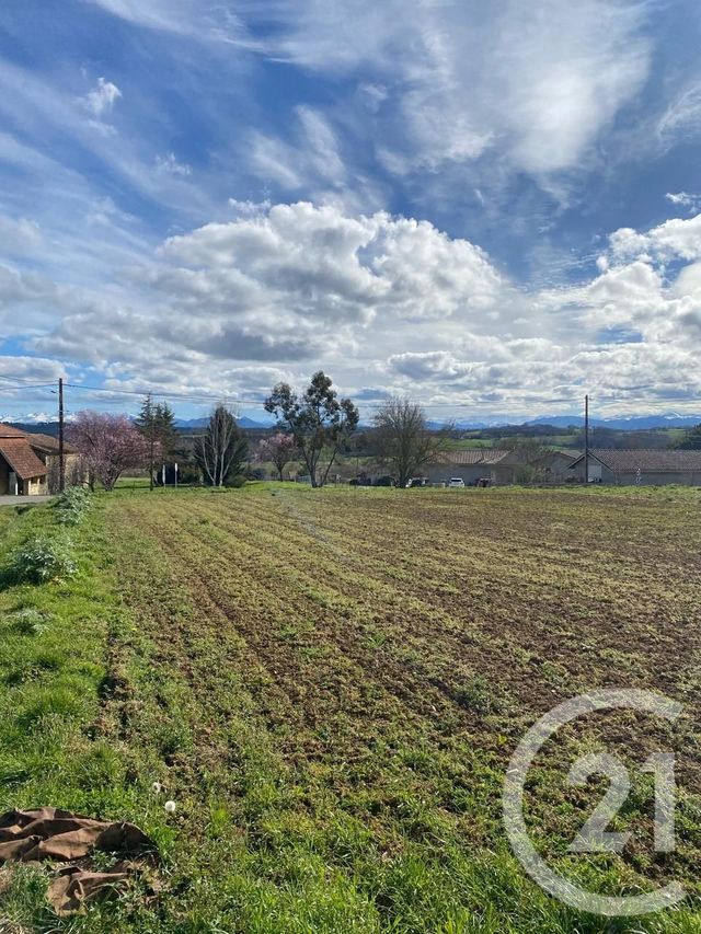 terrain à vendre - 3028.0 m2 - SARRECAVE - 31 - MIDI-PYRENEES - Century 21 Pyrénées Immo