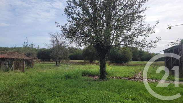 maison à vendre - 5 pièces - 170.0 m2 - MONTBERNARD - 31 - MIDI-PYRENEES - Century 21 Pyrénées Immo