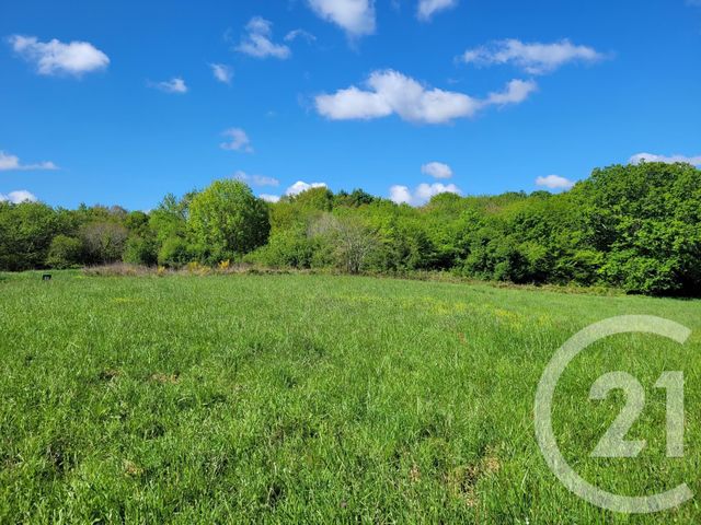 terrain à vendre - 6910.0 m2 - THERMES MAGNOAC - 65 - MIDI-PYRENEES - Century 21 Pyrénées Immo