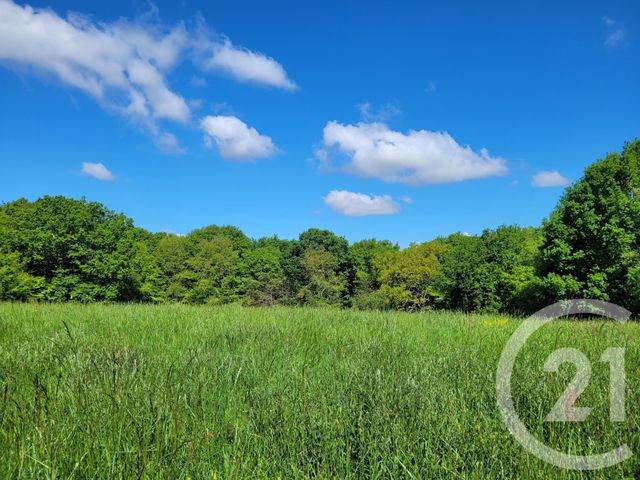 terrain à vendre - 6910.0 m2 - THERMES MAGNOAC - 65 - MIDI-PYRENEES - Century 21 Pyrénées Immo