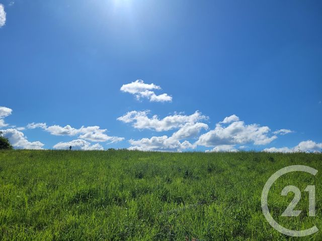 terrain à vendre - 6910.0 m2 - THERMES MAGNOAC - 65 - MIDI-PYRENEES - Century 21 Pyrénées Immo