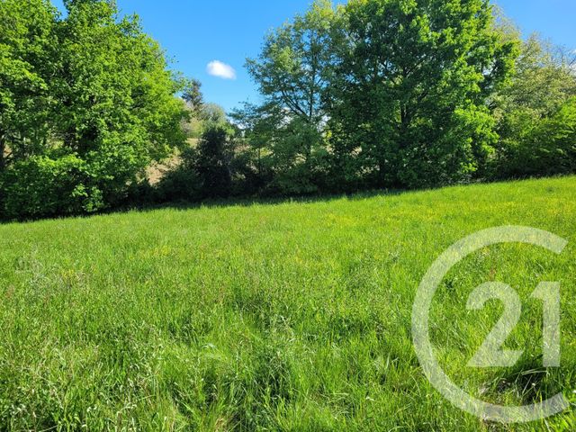 terrain à vendre - 6910.0 m2 - THERMES MAGNOAC - 65 - MIDI-PYRENEES - Century 21 Pyrénées Immo