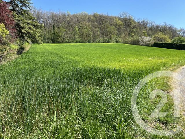 Terrain à vendre MONTSAUNES