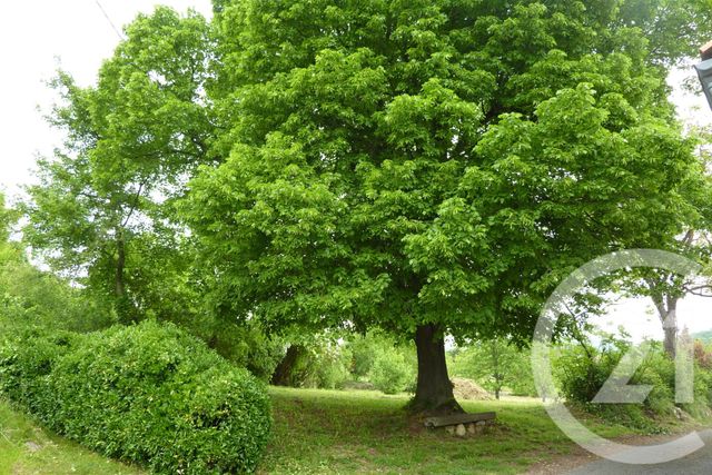 terrain à vendre - 1901.0 m2 - LAFFITE TOUPIERE - 31 - MIDI-PYRENEES - Century 21 Pyrénées Immo