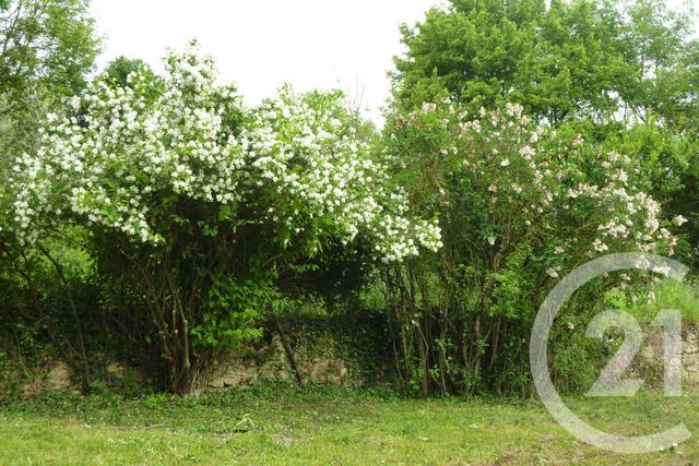 terrain à vendre - 1901.0 m2 - LAFFITE TOUPIERE - 31 - MIDI-PYRENEES - Century 21 Pyrénées Immo