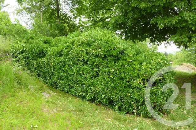 terrain à vendre - 1901.0 m2 - LAFFITE TOUPIERE - 31 - MIDI-PYRENEES - Century 21 Pyrénées Immo