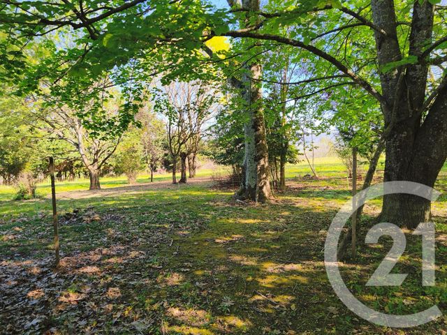 maison à vendre - 7 pièces - 240.0 m2 - SALIES DU SALAT - 31 - MIDI-PYRENEES - Century 21 Pyrénées Immo