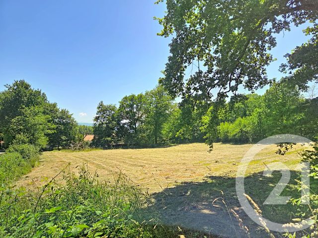 terrain - LESTELLE DE ST MARTORY - 31