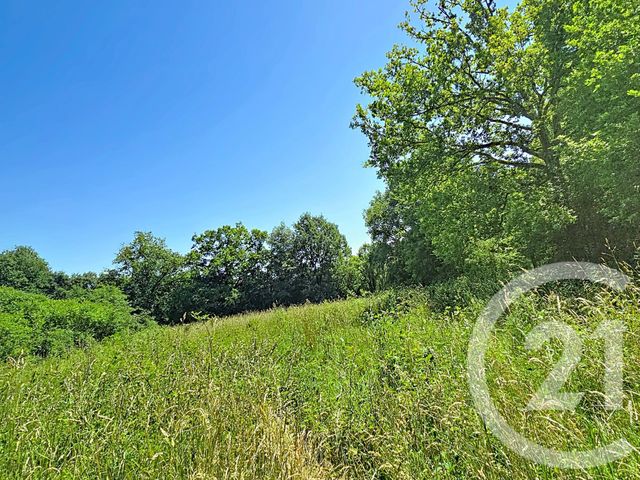 terrain à vendre - 2305.0 m2 - LESTELLE DE ST MARTORY - 31 - MIDI-PYRENEES - Century 21 Pyrénées Immo