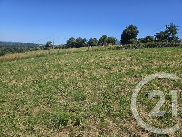 terrain à vendre - 2275.0 m2 - ROUEDE - 31 - MIDI-PYRENEES - Century 21 Pyrénées Immo