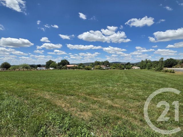 terrain à vendre - 9980.0 m2 - MONTSAUNES - 31 - MIDI-PYRENEES - Century 21 Pyrénées Immo