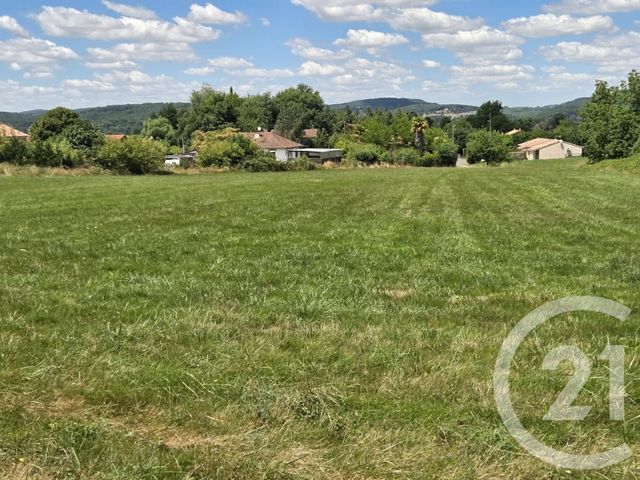 terrain - MONTSAUNES - 31